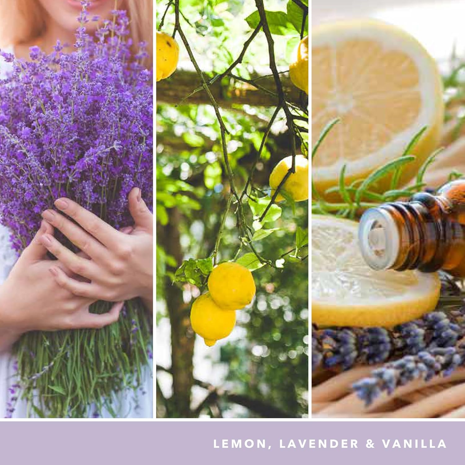 image:imageYankee Candle Black Cherry Scented Classic 22oz Large Jar Single Wick Candle Over 110 Hours of Burn Time Ideal for Home Dcor and GiftingLemon Lavender