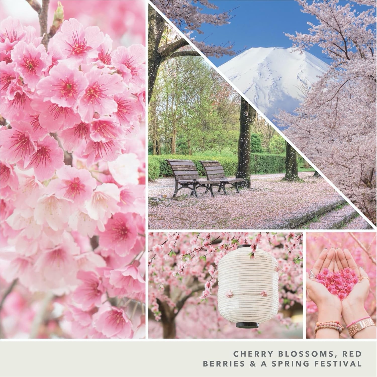 image:imageYankee Candle Black Cherry Scented Classic 22oz Large Jar Single Wick Candle Over 110 Hours of Burn Time Ideal for Home Dcor and GiftingSakura Blossom Festival
