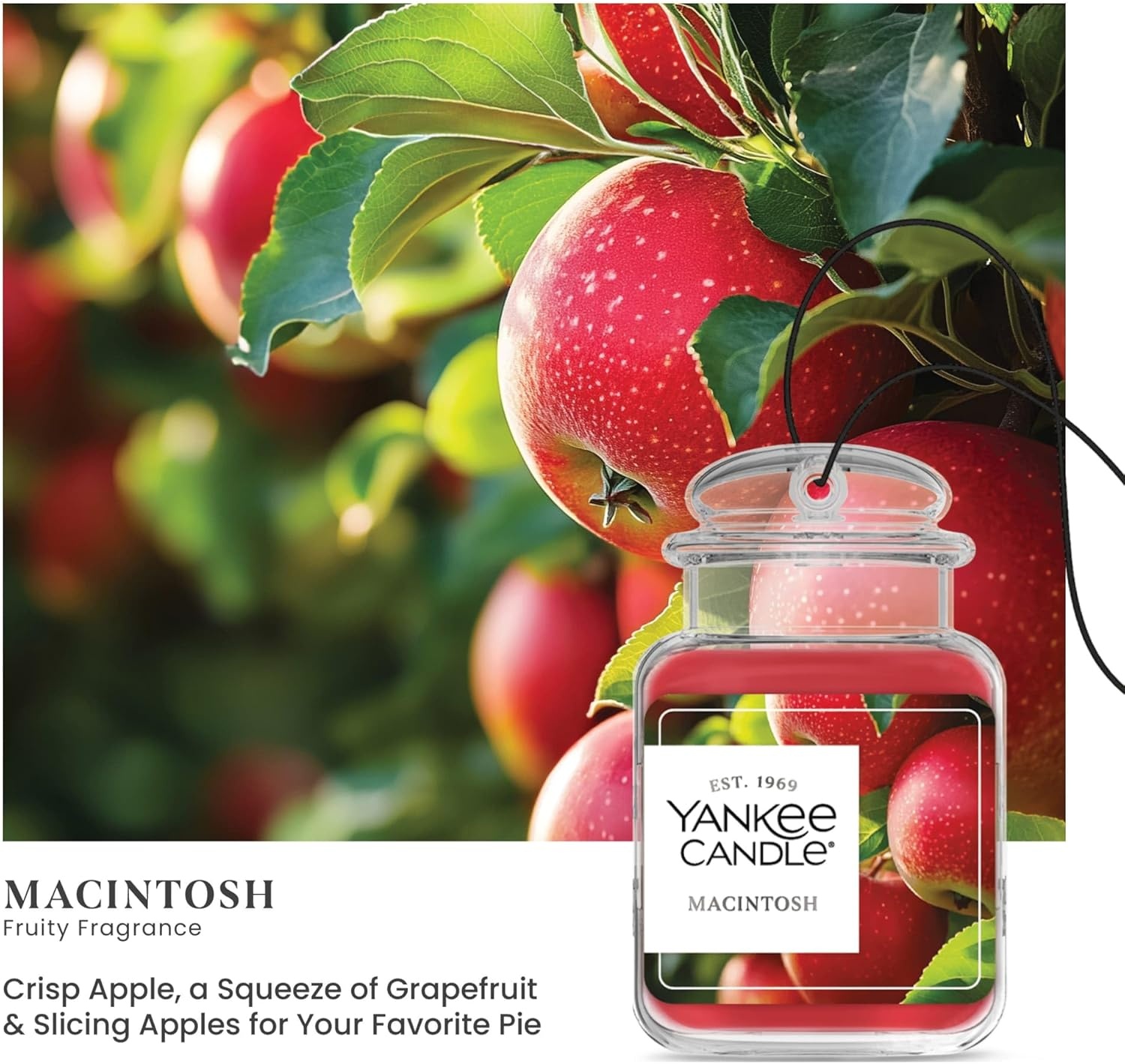 image:imageYankee Candle Car Jar Ultimate Air Freshener Hanging Car Freshener Long Lasting Car Fragrance Bahama Breeze Pack of 1Macintosh