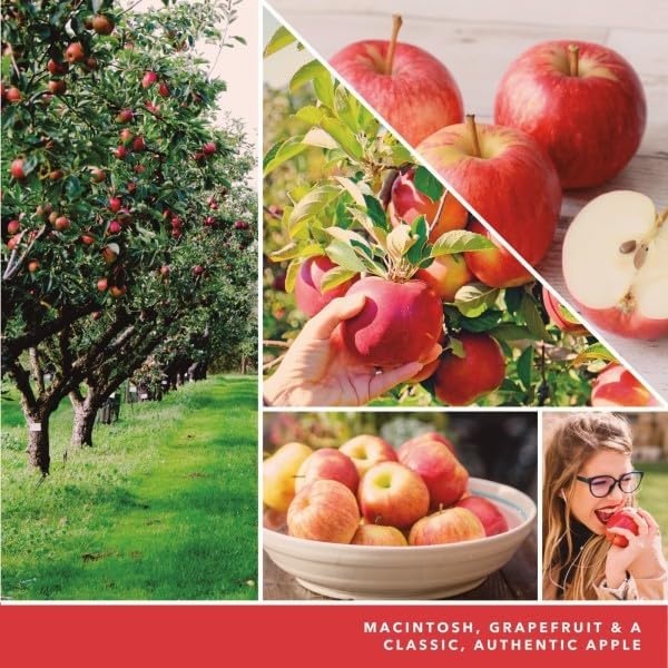 image:imageYankee Candle Concentrated Room Spray Air Freshener Instant Home Fragrance Odor Eliminating Spray Macintosh Pack of 3Macintosh