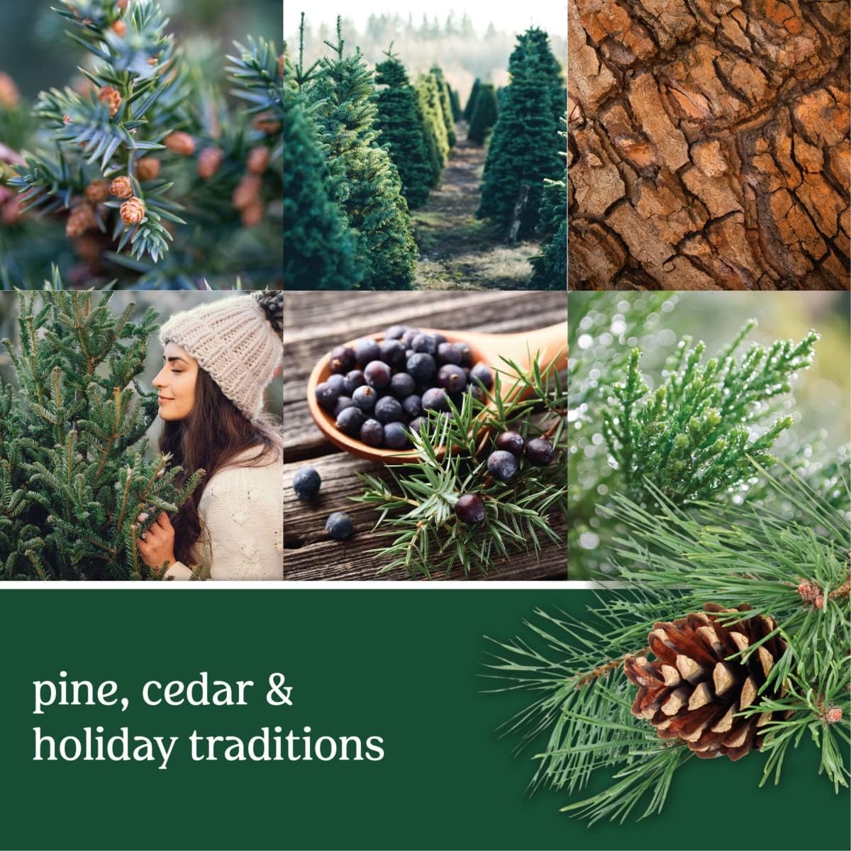 image:imageYankee Candle Large Tumbler Scented Candle with up to 80 Hour Burn Time Premium Plant Wax Blend for Consistent Burn 20 oz Tumbler Candle with Room Filling Fragrance Christmas EveBalsam Cedar