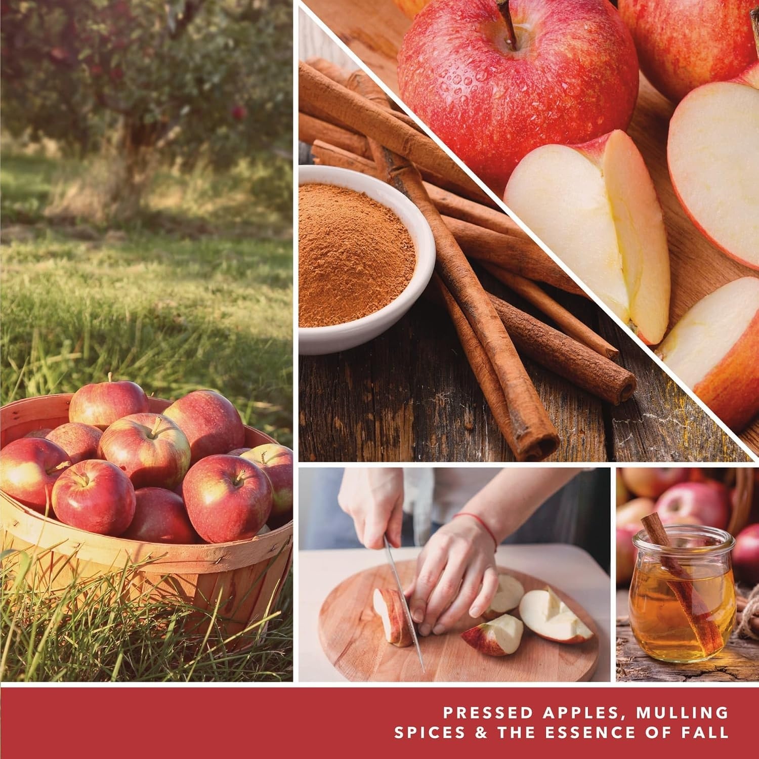 image:imageYankee Candle Macintosh Large Classic Jar CandleCiderhouse