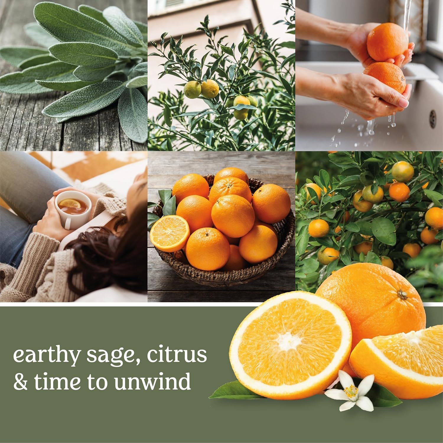 image:imageYankee Candle MidSummers Night Scented Classic Large Single Wick Jar Candle 22oz with Over 110 Hours of Burn Time Ideal for Dinner Parties Relaxing Saturdays and Special OccasionsSage Citrus