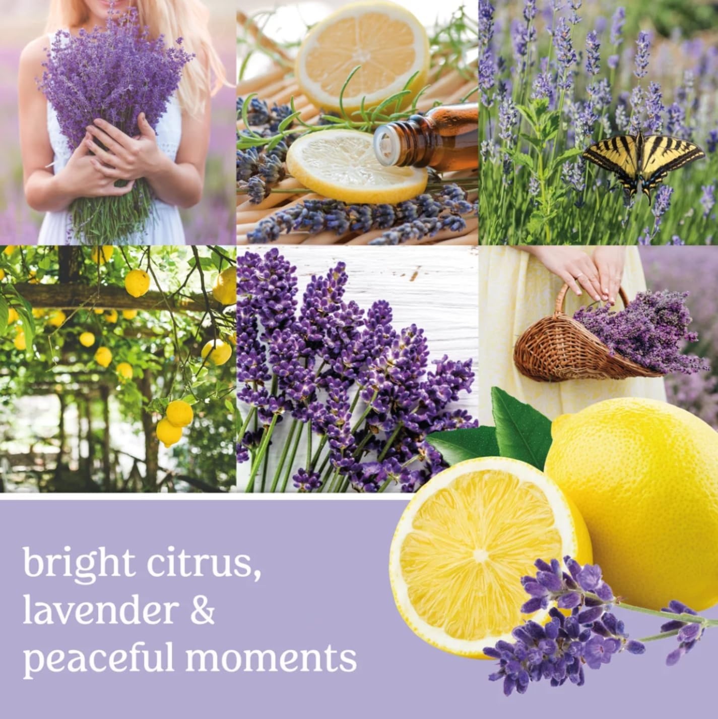 image:imageYankee Candle Mini Jar Scented Candles Small Single Wick Candle Set Soy Wax Blend Vanilla Cupcake Lilac Blossoms Coconut Beach Pink Sands Sweet Serenity Variety PackBlossoming Florals