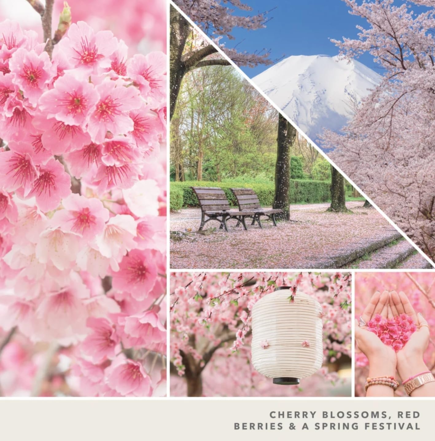 image:imageYankee Candle Mini Jar Scented Candles Small Single Wick Candle Set Soy Wax Blend Vanilla Cupcake Lilac Blossoms Coconut Beach Pink Sands Sweet Serenity Variety PackBlossoming Florals