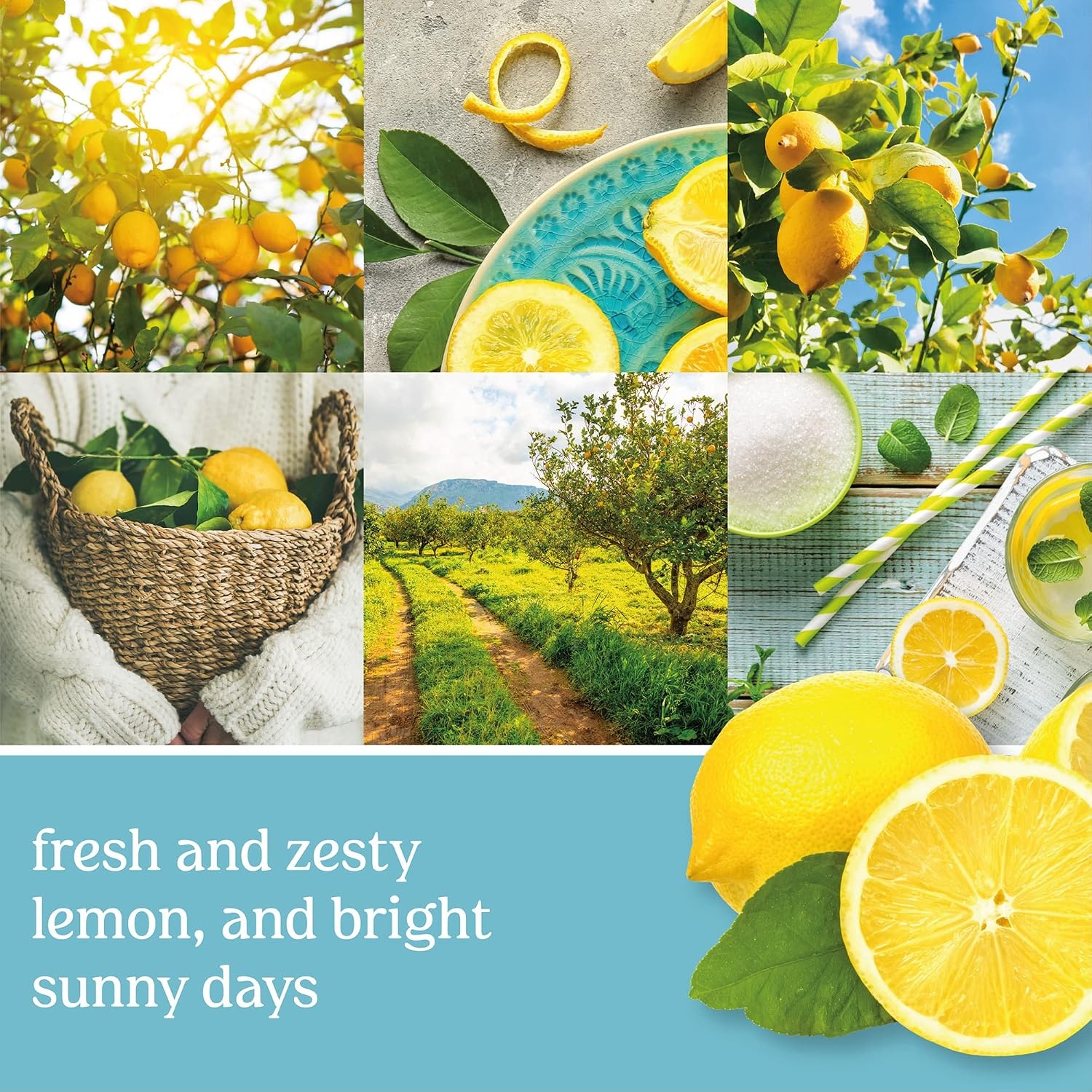image:imageYankee Candle ScentLight Kit Blue with Clean CottonSicilian Lemon