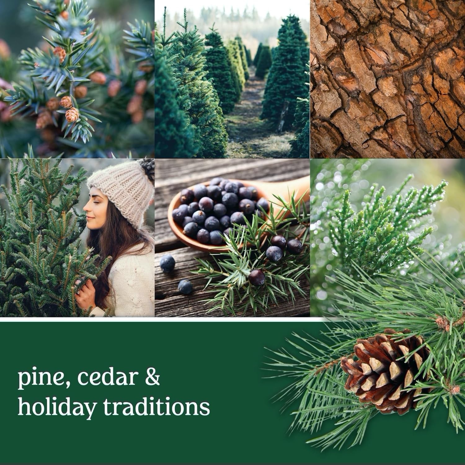 image:imageYankee Candle Silver Sage amp Pine Scented Candle 20oz Classic 2Wick Tumbler with up to 80 Hour Burn TimeBalsam Cedar