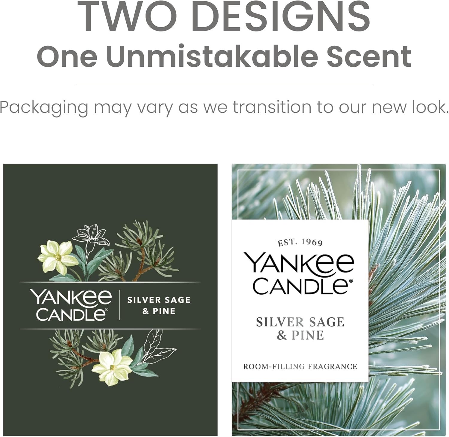 image:imageYankee Candle Silver Sage amp Pine Scented Candle 20oz Classic 2Wick Tumbler with up to 80 Hour Burn TimeSilver Sage Pine
