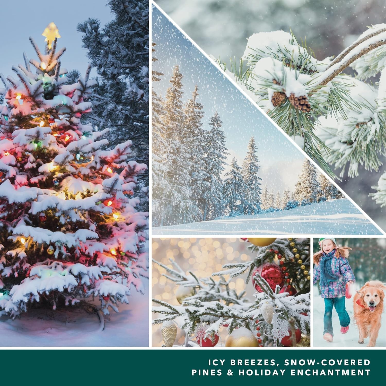 image:imageYankee Candle Studio Medium Candle Magical Frosted Forest 10 oz LongLasting EssentialOil Scented Soy Wax Blend Candle 4065 Hours of Burning Time