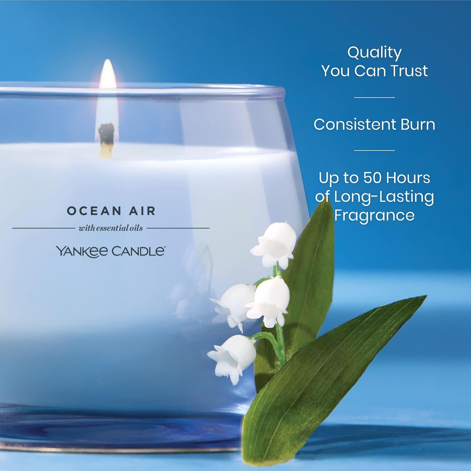 image:imageYankee Candle Studio Scented Candle Single Wick Jar Candle for Home Fragrance Premium Plant Wax Blend Long Lasting Burn Balsam amp Cedar Pack of 1Ocean Air