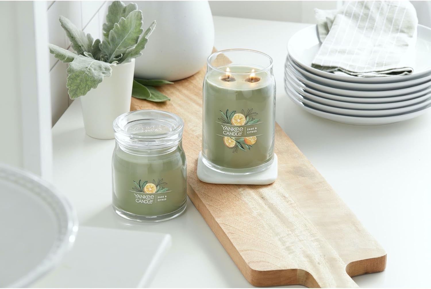 image:imageYankee Candle Studio Scented Candle Single Wick Jar Candle for Home Fragrance Premium Plant Wax Blend Long Lasting Burn Balsam amp Cedar Pack of 1Sage Citrus