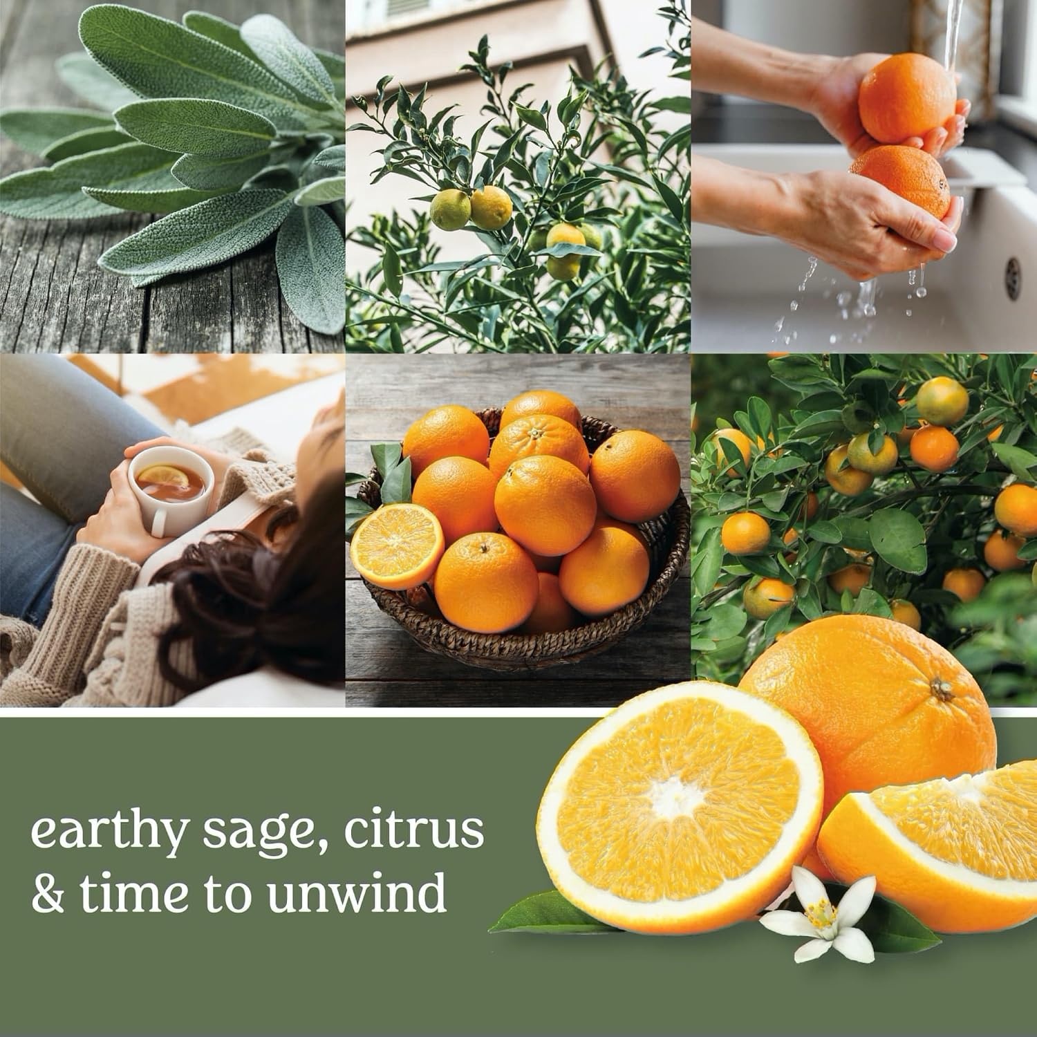 image:imageYankee Candle Studio Scented Candle Single Wick Jar Candle for Home Fragrance Premium Plant Wax Blend Long Lasting Burn Balsam amp Cedar Pack of 1Sage Citrus