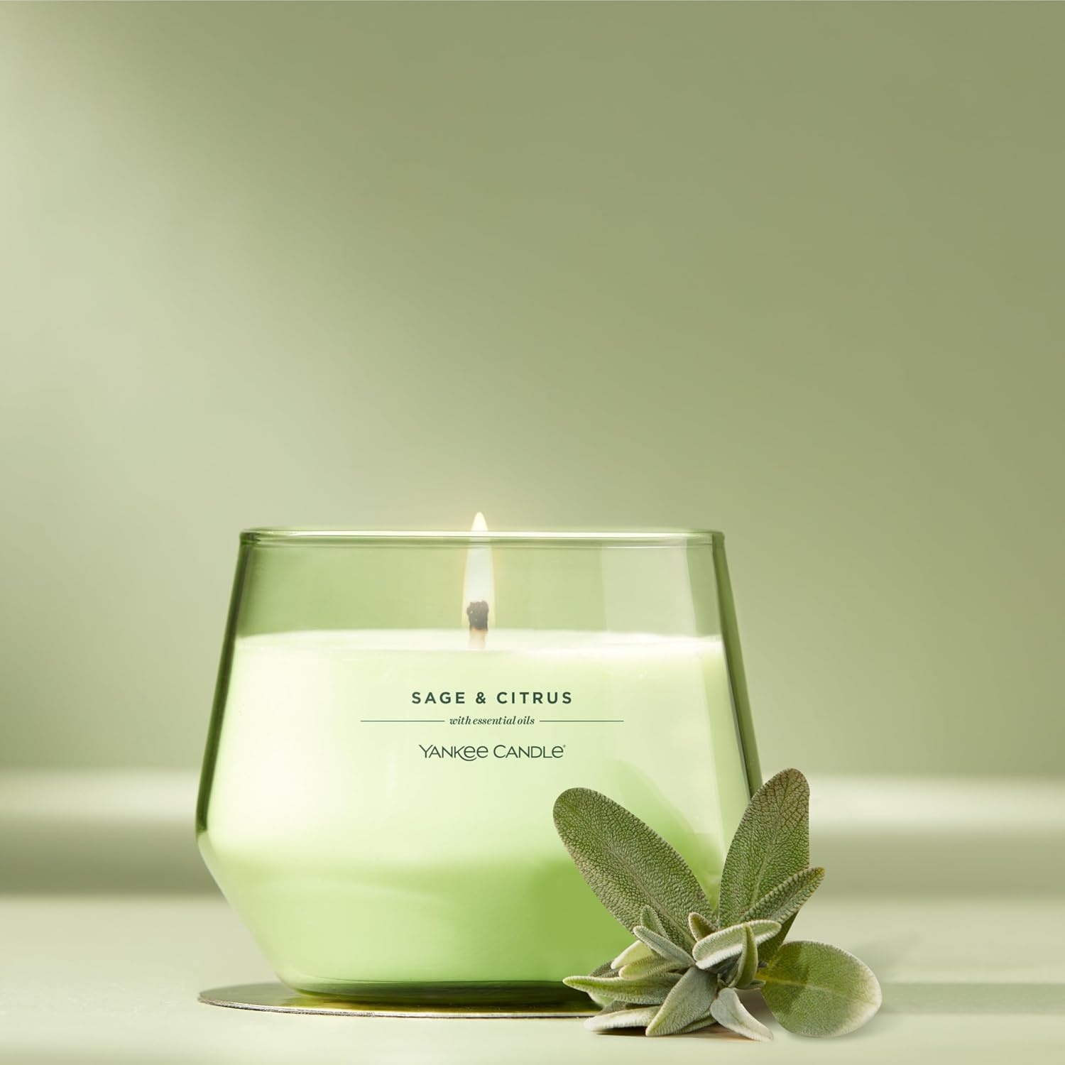image:imageYankee Candle Studio Scented Candle Single Wick Jar Candle for Home Fragrance Premium Plant Wax Blend Long Lasting Burn Balsam amp Cedar Pack of 1Sage Citrus