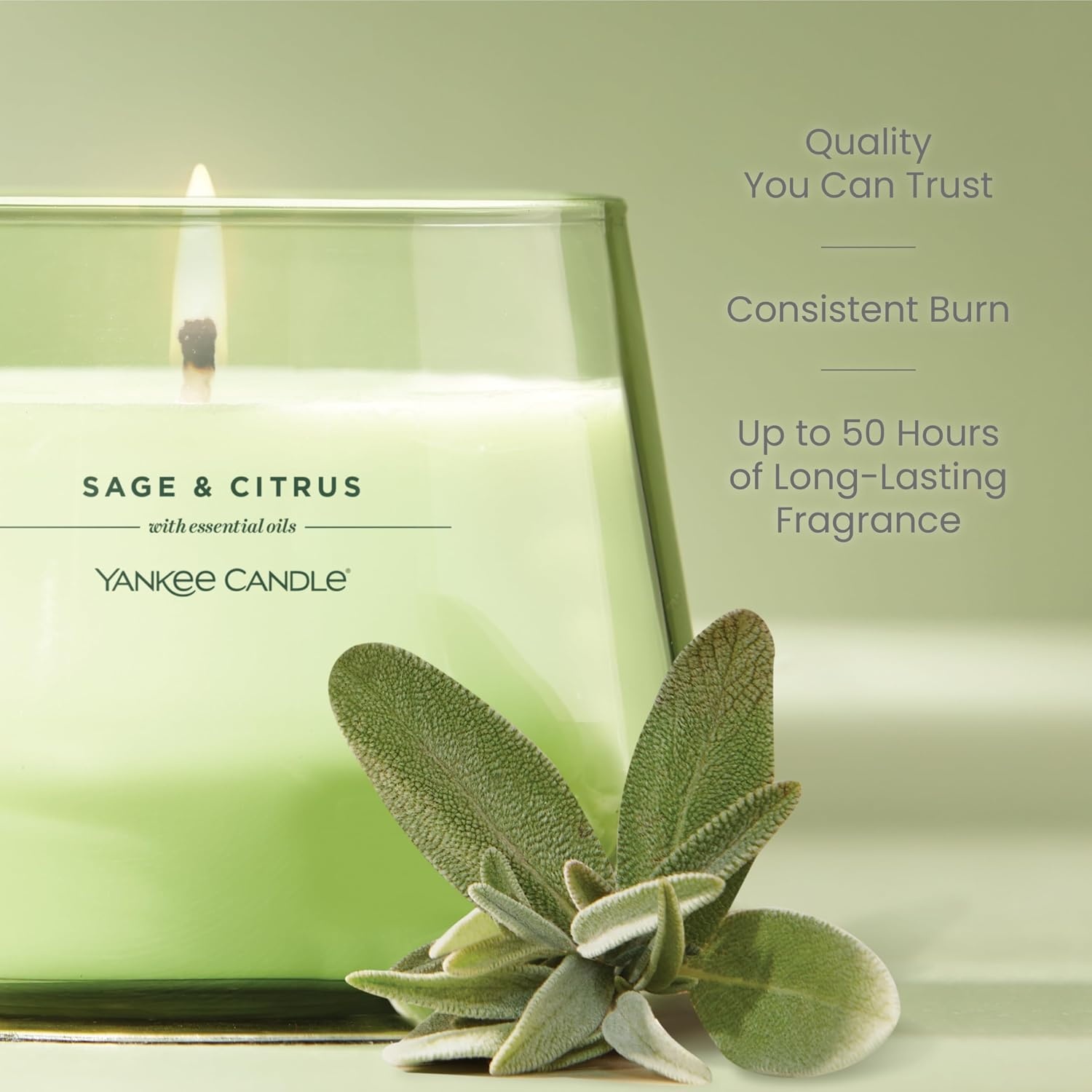 image:imageYankee Candle Studio Scented Candle Single Wick Jar Candle for Home Fragrance Premium Plant Wax Blend Long Lasting Burn Balsam amp Cedar Pack of 1Sage Citrus
