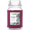 Sparkling Winterberry