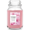 Enchanting Cherry Blossom