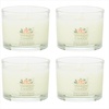 White Spruce & Grapefruit