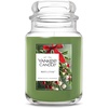 Mistletoe