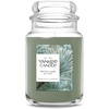 Silver Sage & Pine