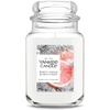 White Spruce & Grapefruit
