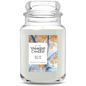 Yankee Candle Ocean Air Scented Candle, 22oz Large Jar with up to 150 Hour Burn Time, Giftable(Silver Birch)