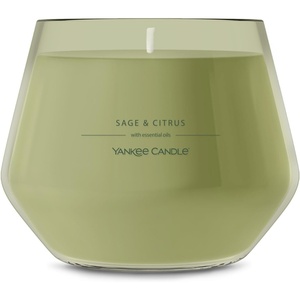 Yankee Candle Studio Scented Candle, Single Wick Jar Candle for Home Fragrance, Premium Plant Wax Blend, Long Lasting Burn, Balsam & Cedar (Pack of 1)(Sage & Citrus)